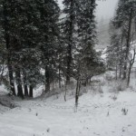 Patriata New Murree - snow after snowfall in winter